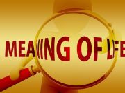 What Is The Meaning Of Life?